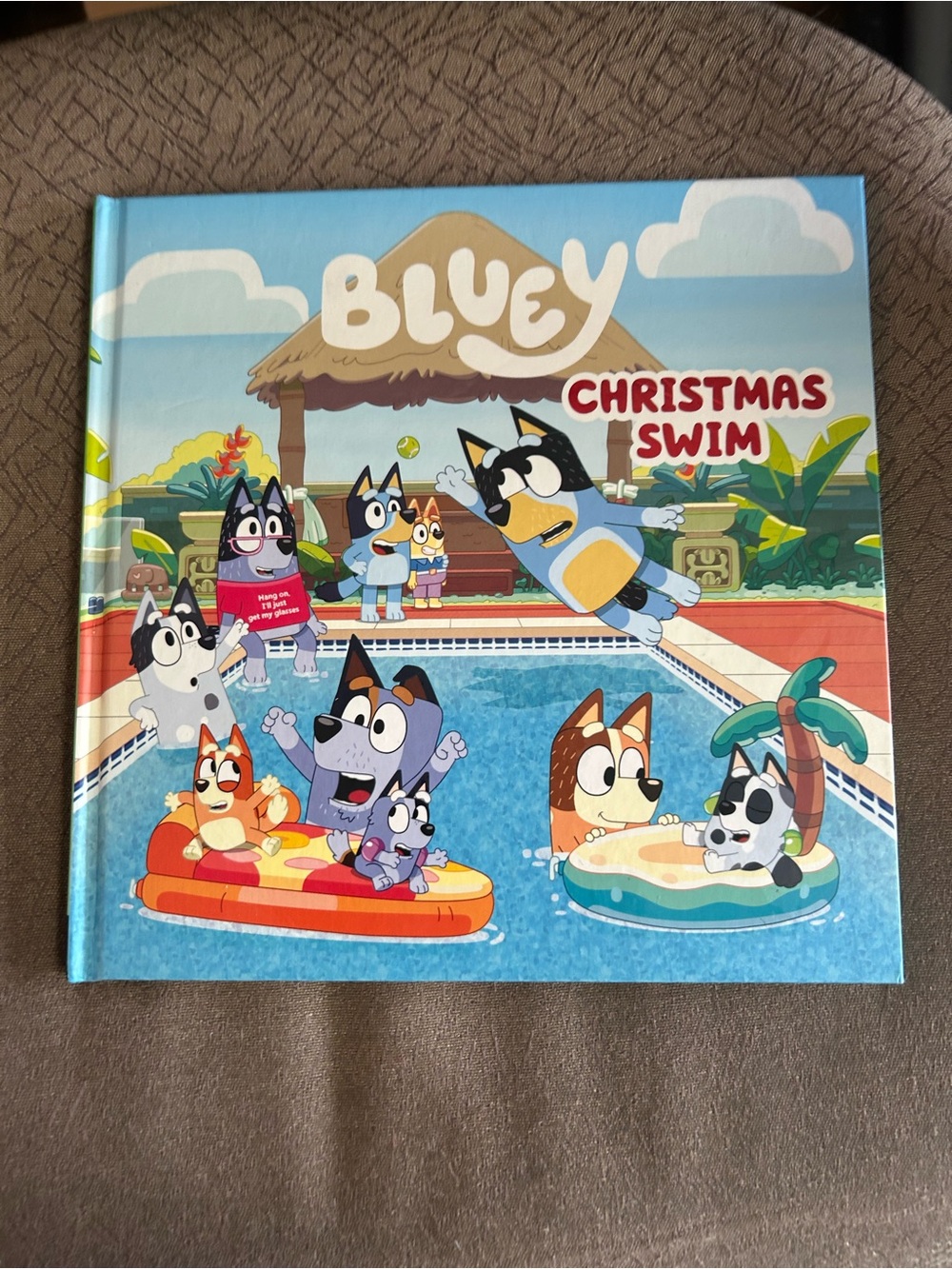 Bluey Christmas Swim Children's Book